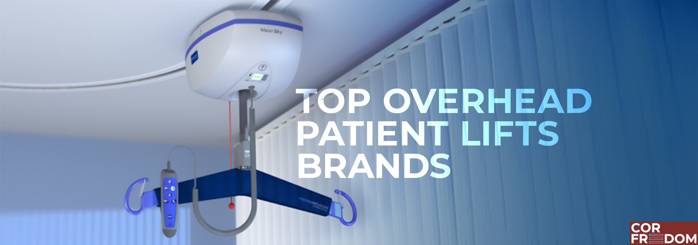 Top Overhead Patient Lift Brands